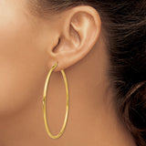 14k Yellow Gold Hoop Earrings, Large Polished Round Hoops, Minimalist Lightweight Design for Women