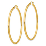 14k Yellow Gold Hoop Earrings, Large Round Polished Design, Lightweight Modern Style for Women