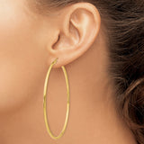 14k Yellow Gold Hoop Earrings, Classic Round Polished Design, Lightweight Everyday Jewelry