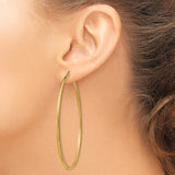14k Yellow Gold Hoop Earrings with Polished Textured Finish and Leaf Detail for Women