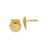 14k Yellow Gold Scallop Shell Stud Earrings, Coastal Faith-Inspired Design for Women