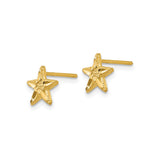 14k Yellow Gold Starfish Stud Earrings, Textured Ocean-Inspired Nautical Design for Women