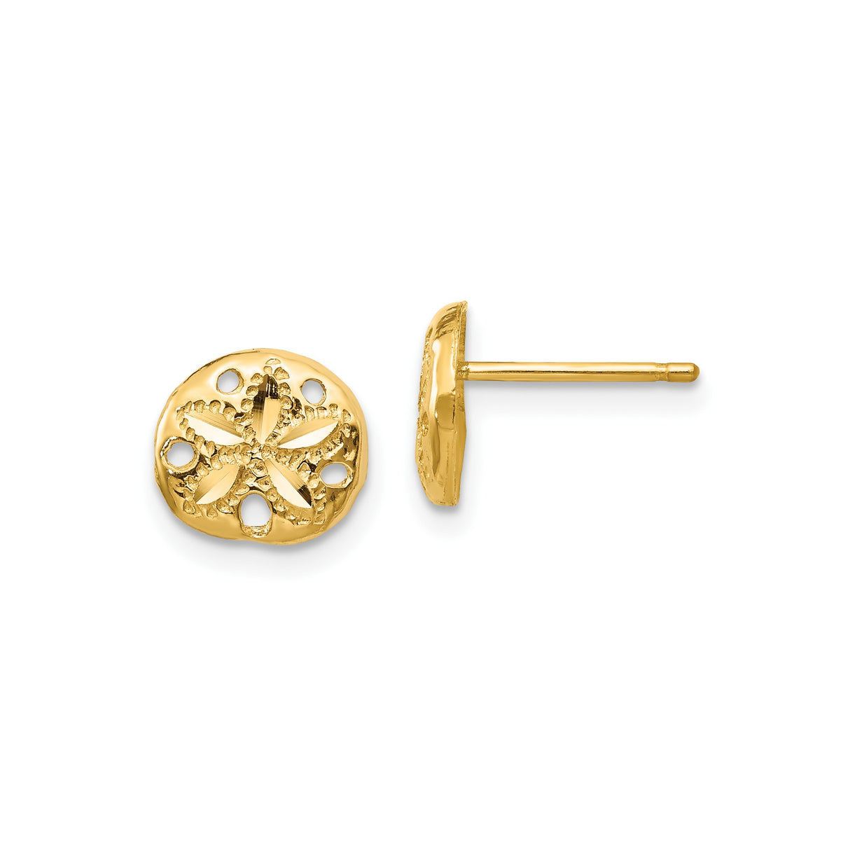 14k Yellow Gold Sand Dollar Stud Earrings with Openwork Marine Motif for Women