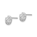 14k White Gold Sand Dollar Stud Earrings, Ocean Motif Cutout Design for Women