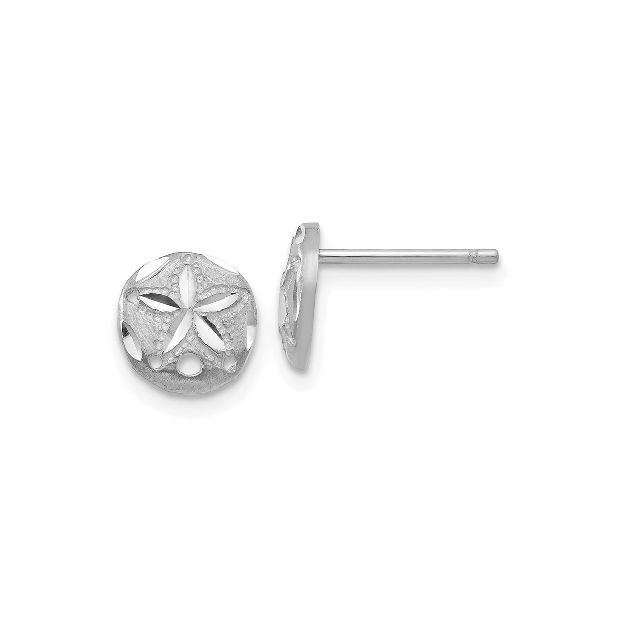 14k White Gold Sand Dollar Stud Earrings, Ocean Motif Cutout Design for Women