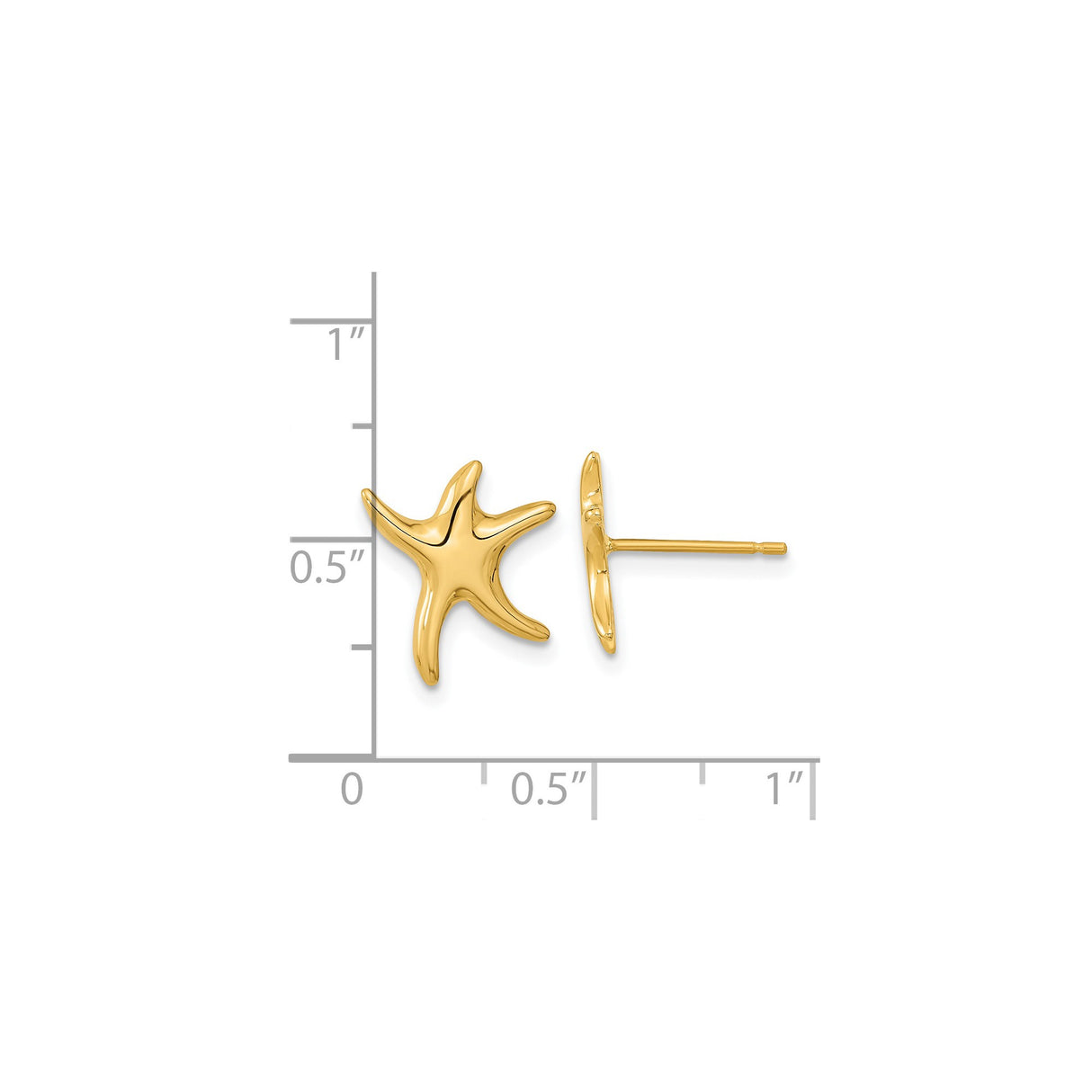 14k Yellow Gold Starfish Stud Earrings, Polished Nautical Sea Life Design for Women