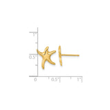 14k Yellow Gold Starfish Stud Earrings, Polished Nautical Sea Life Design for Women