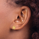 14k Yellow Gold Starfish Stud Earrings, Textured Nautical Design for Women
