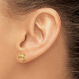 14k Yellow Gold Dolphin Stud Earrings, Satin Finish, Nautical Animal Motif for Women