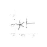 14k White Gold Starfish Stud Earrings, Nautical Marine Design for Women