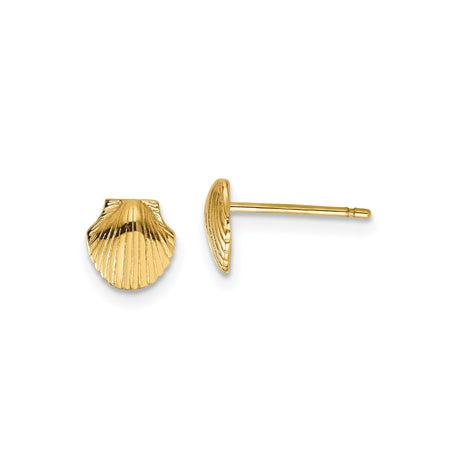 14k Yellow Gold Scallop Shell Stud Earrings, Nautical Ocean-Inspired Design for Women
