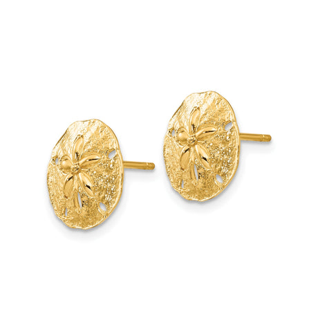 14k Yellow Gold Sand Dollar Stud Earrings, Textured Nautical Coastal Sea Life Design for Women
