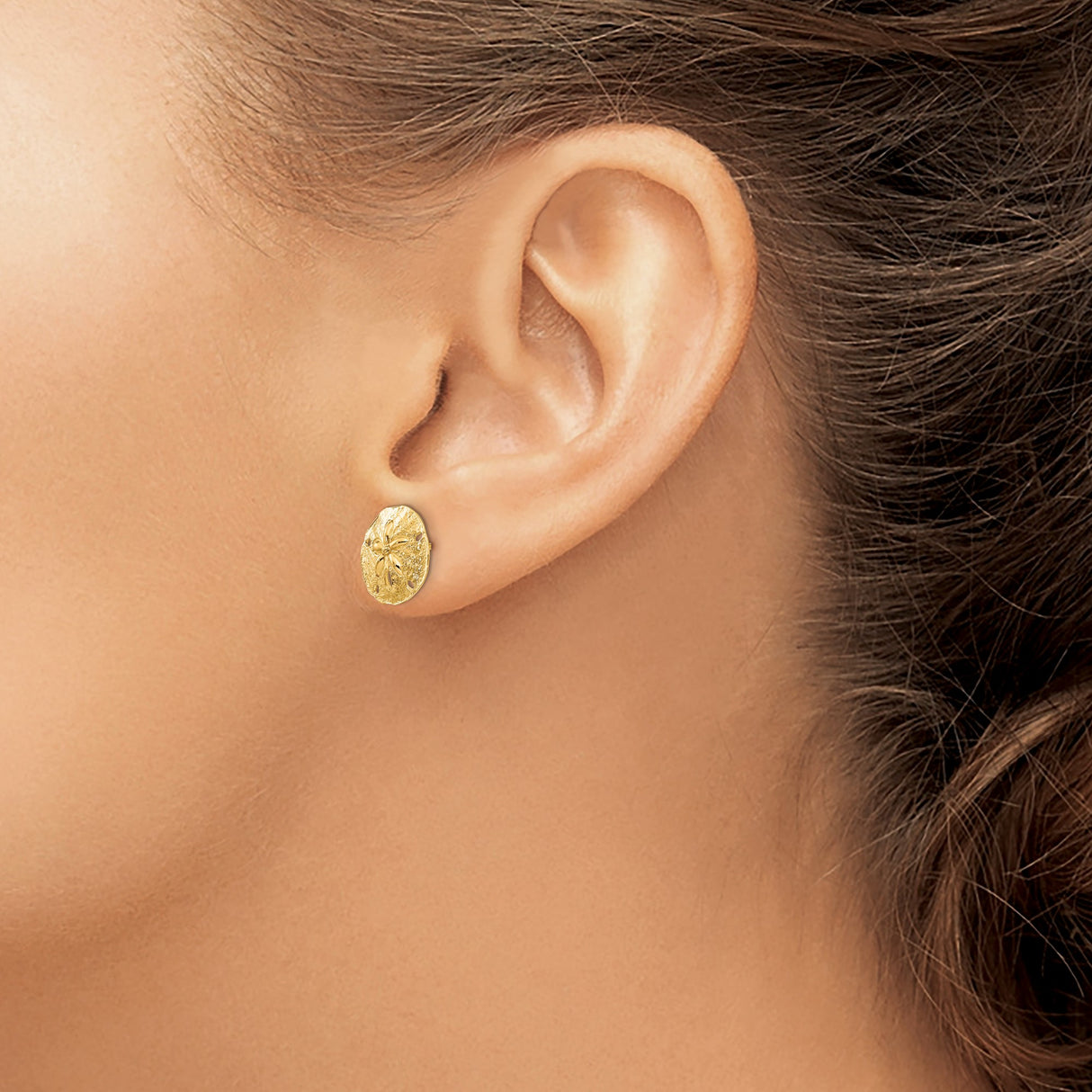 14k Yellow Gold Sand Dollar Stud Earrings, Textured Nautical Coastal Sea Life Design for Women