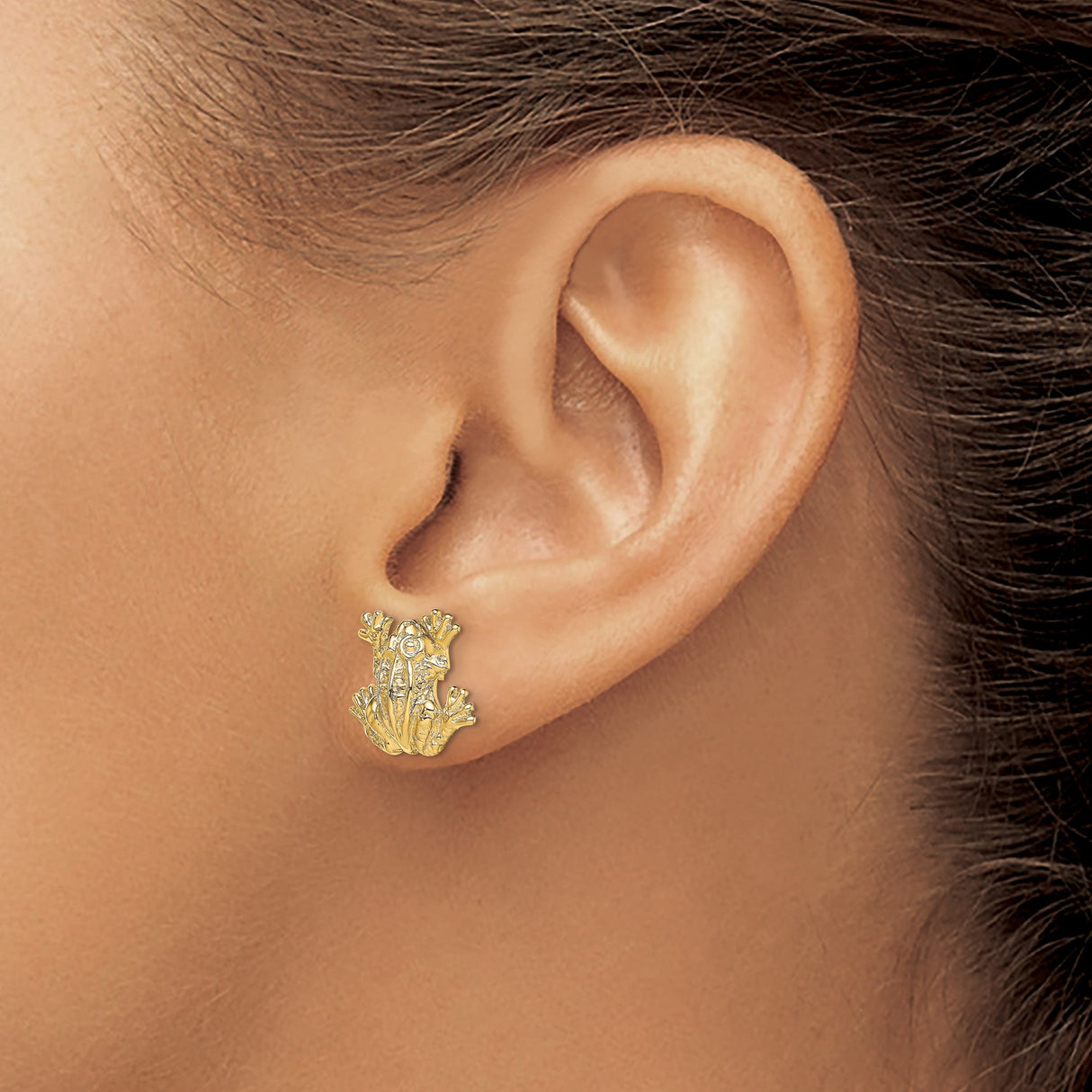 14k Yellow Gold Frog Stud Earrings with Detailed Animal Design, Nature-Inspired Jewelry