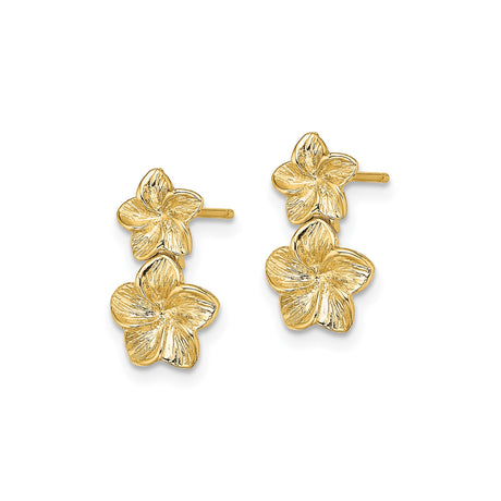 14k Yellow Gold Stud Earrings with Double Plumeria Flowers, Tropical Floral Design