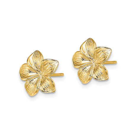 14k Yellow Gold Plumeria Flower Stud Earrings, Botanical Floral Design for Women