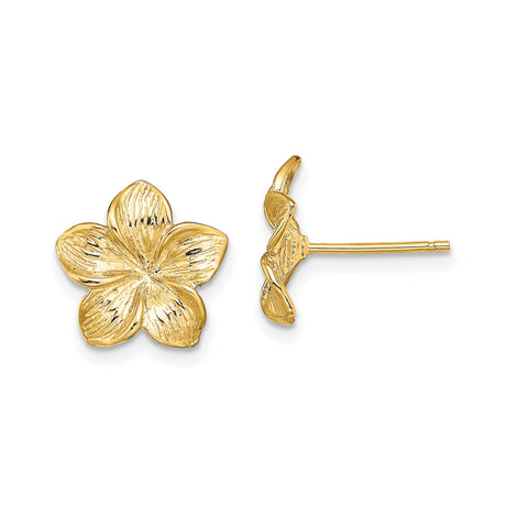 14k Yellow Gold Plumeria Flower Stud Earrings, Botanical Floral Design for Women