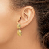 14k Yellow Gold Dangle Earrings with Double Scallop Shells, Textured Nautical Ocean Design