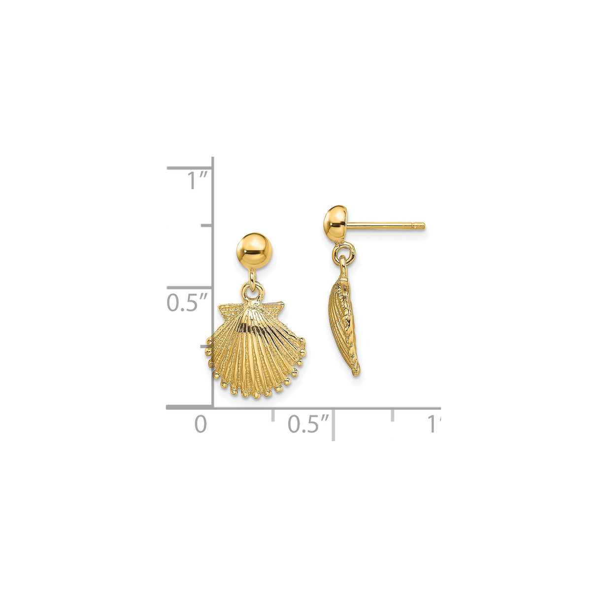 14k Yellow Gold Scallop Shell Dangle Stud Earrings, Coastal Nautical Theme for Women