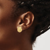 14k Yellow Gold Scallop Shell Stud Earrings, Textured Nautical Coastal Style Jewelry for Women