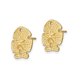 14k Yellow Gold Sand Dollar Stud Earrings, Nautical Coastal Theme for Women
