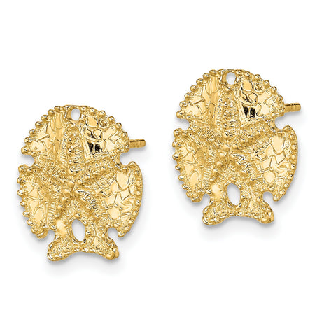 14k Yellow Gold Sand Dollar Stud Earrings, Nautical Coastal Motif for Women