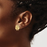 14k Yellow Gold Sand Dollar Stud Earrings, Nautical Coastal Motif for Women