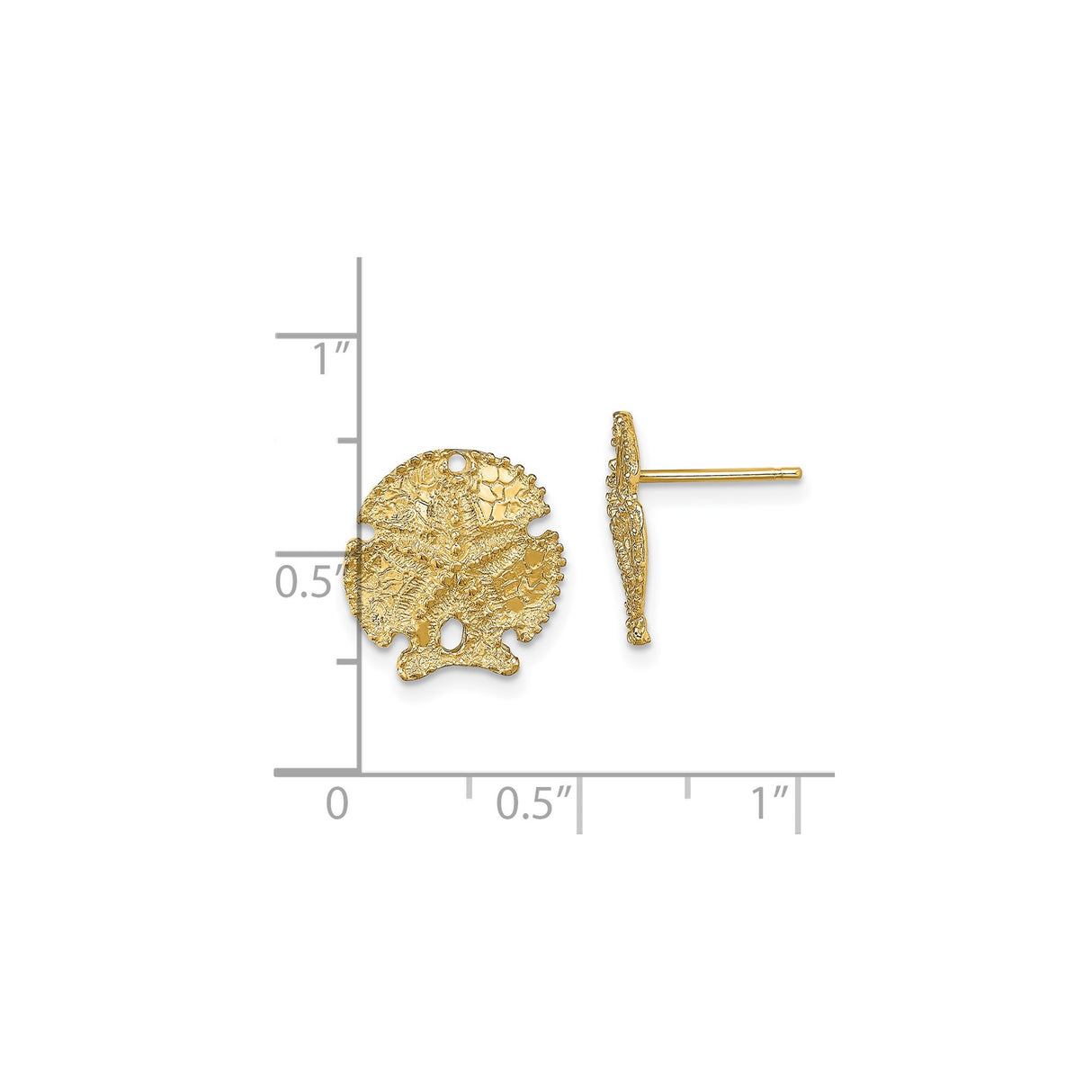 14k Yellow Gold Sand Dollar Stud Earrings, Nautical Coastal Motif for Women