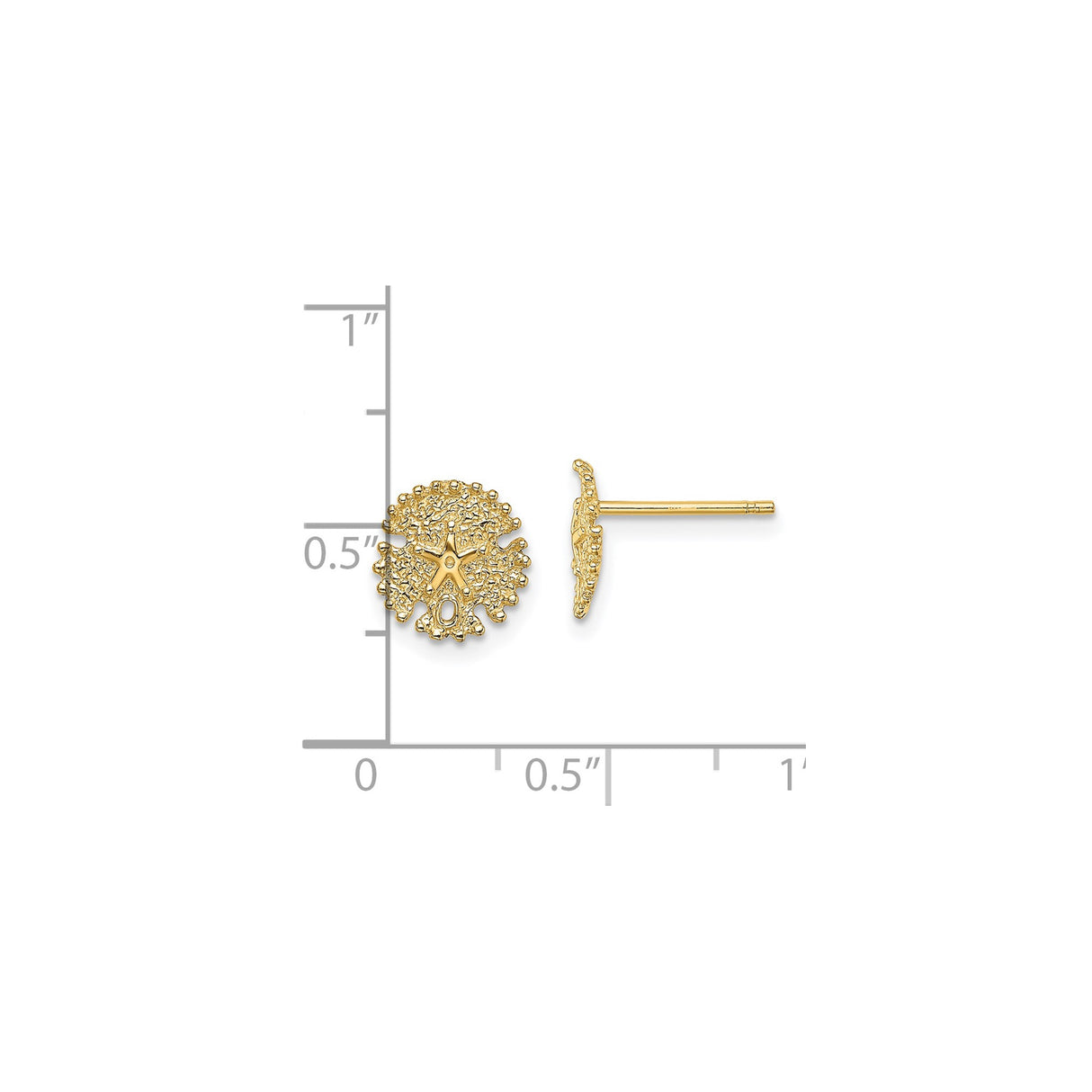 14k Yellow Gold Stud Earrings, Textured Sand Dollar with Starfish Motif, Nautical Coastal Style