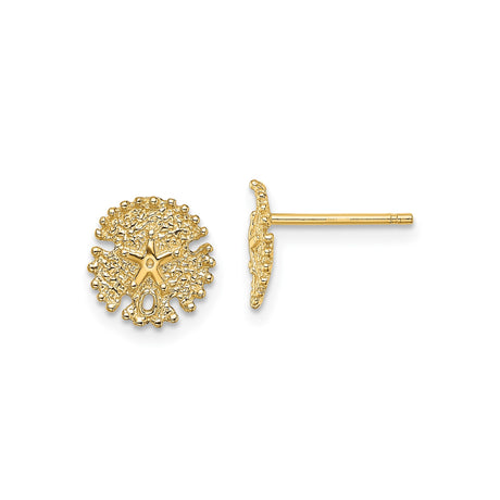 14k Yellow Gold Stud Earrings, Textured Sand Dollar with Starfish Motif, Nautical Coastal Style
