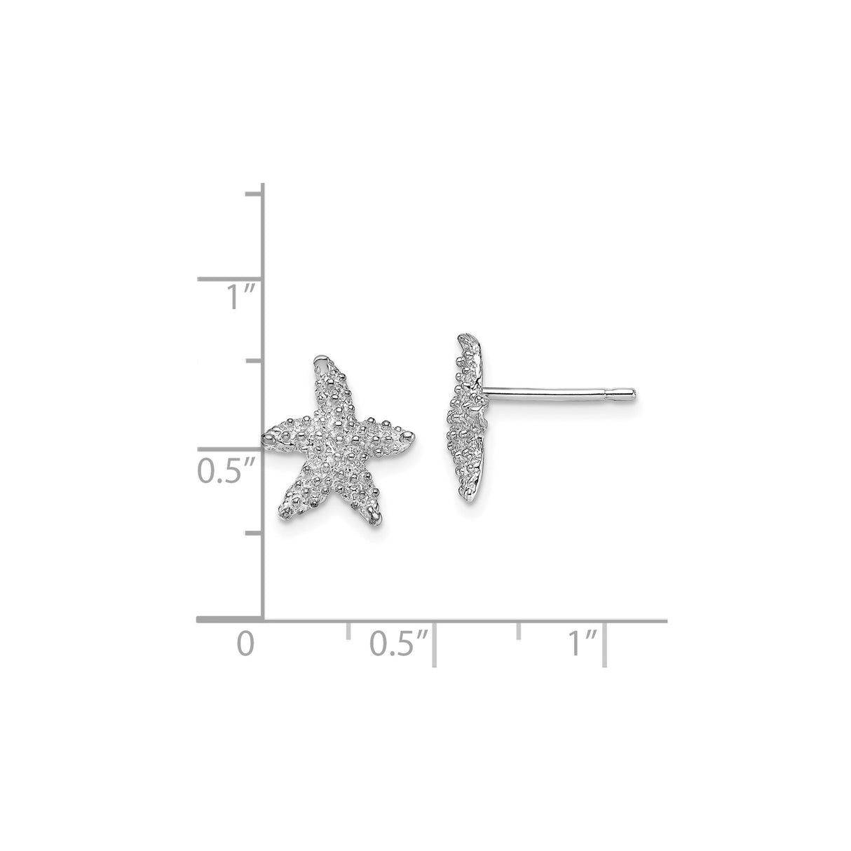 14k White Gold Starfish Stud Earrings with Textured Coastal Design for Women