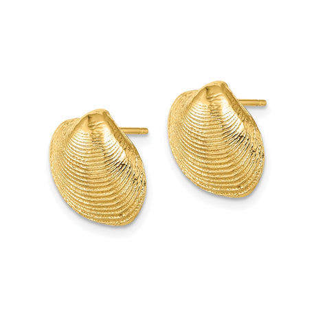 14k Yellow Gold Seashell Stud Earrings, Nautical Clam Shell Design for Women