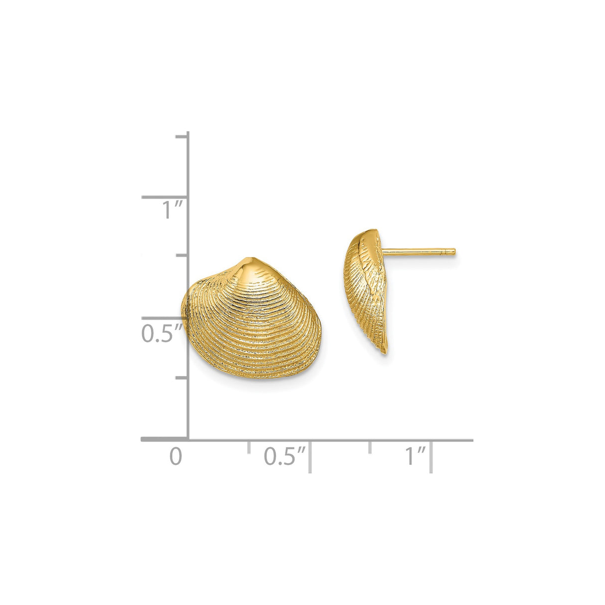 14k Yellow Gold Seashell Stud Earrings, Nautical Clam Shell Design for Women
