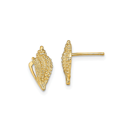 14k Yellow Gold Seashell Stud Earrings, Conch Shell Design, Nautical Beach Style for Women