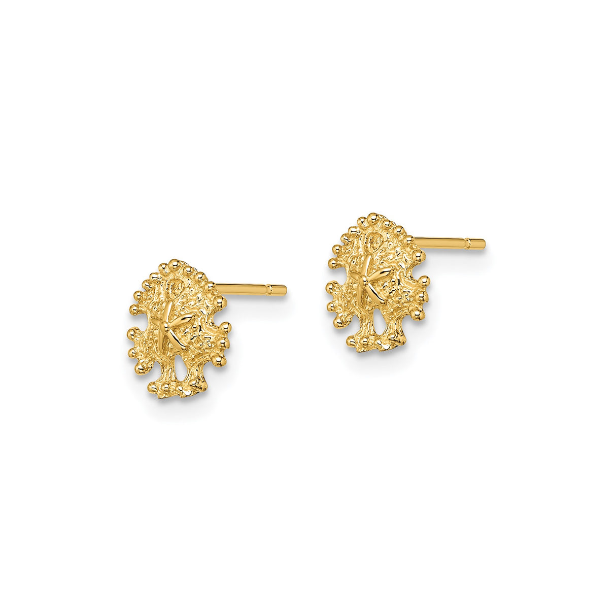14k Yellow Gold Sand Dollar Stud Earrings, Textured Coastal Marine Design