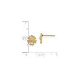 14k Yellow Gold Sand Dollar Stud Earrings, Textured Coastal Marine Design