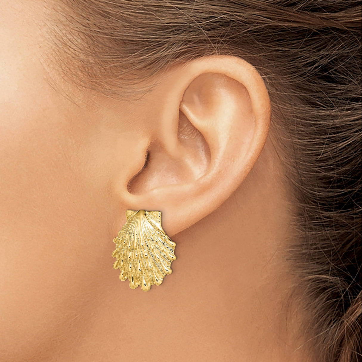 14k Yellow Gold Scallop Seashell Stud Earrings, Coastal Ocean Theme for Women