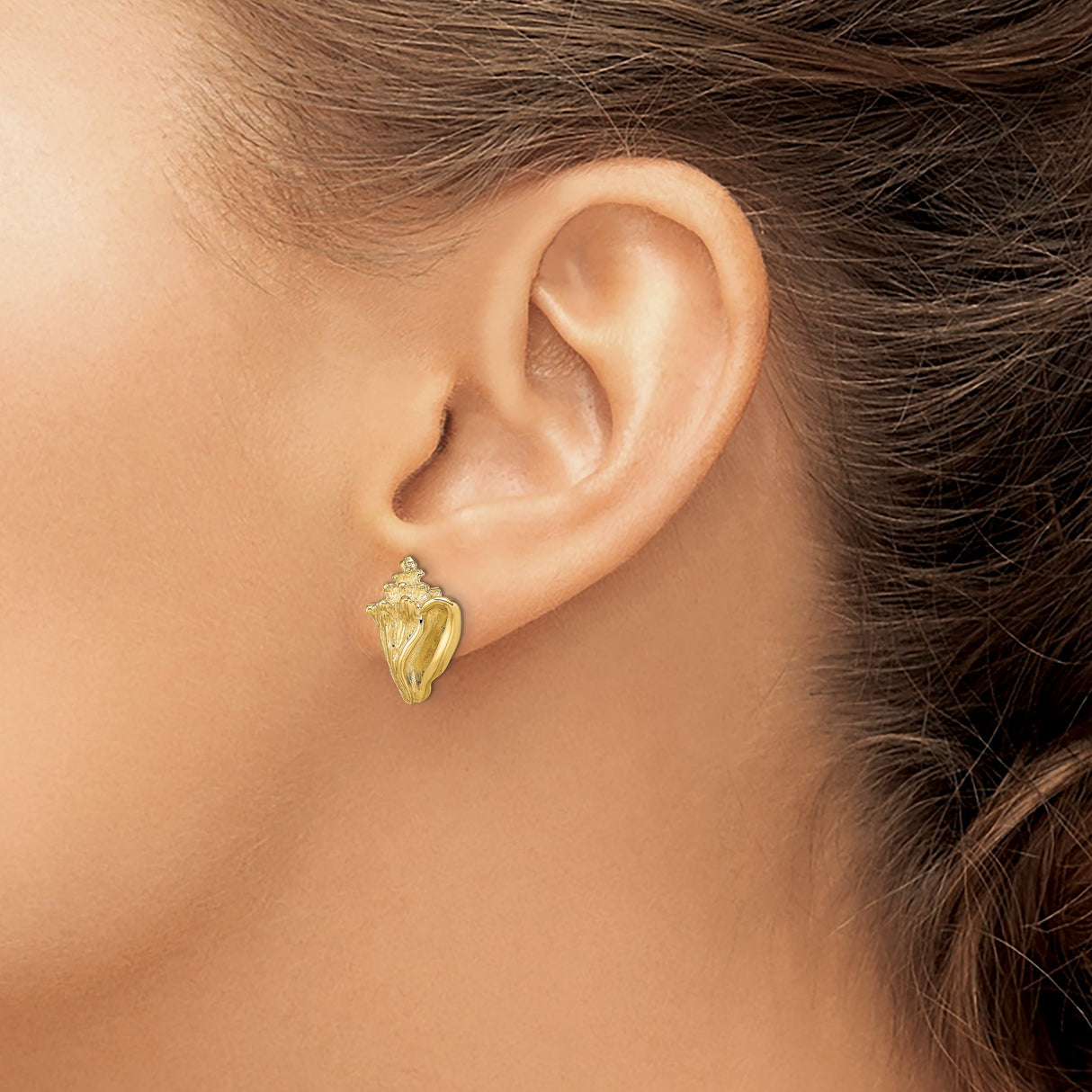 14k Yellow Gold Conch Shell Stud Earrings, Textured Nautical Beach Style for Women