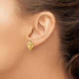 14k Yellow Gold Conch Shell Stud Earrings, Textured Nautical Beach Style for Women