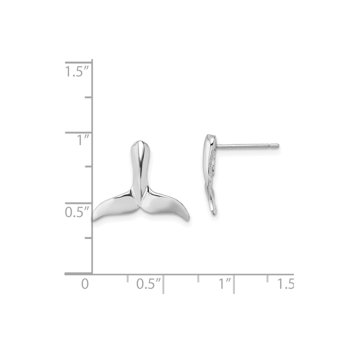 14k White Gold Whale Tail Stud Earrings, Ocean Inspired Nautical Style for Women
