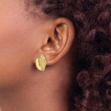 14k Yellow Gold Seashell Stud Earrings, Conch Shell Marine Life Coastal Style