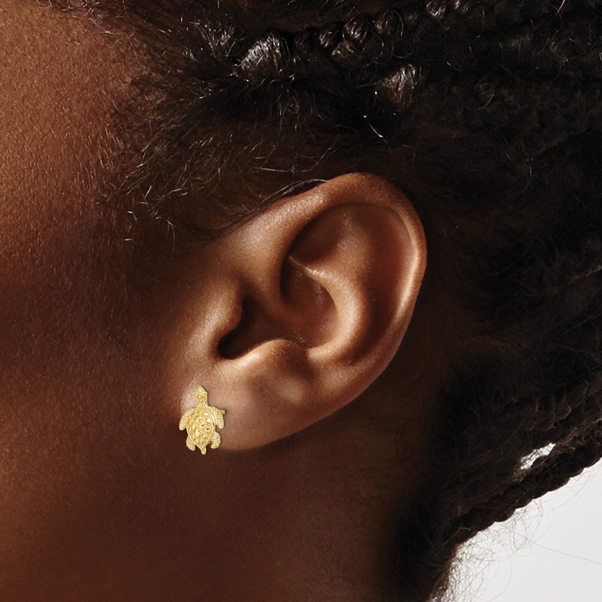 14k Yellow Gold Sea Turtle Stud Earrings, Textured Nautical Animal Design