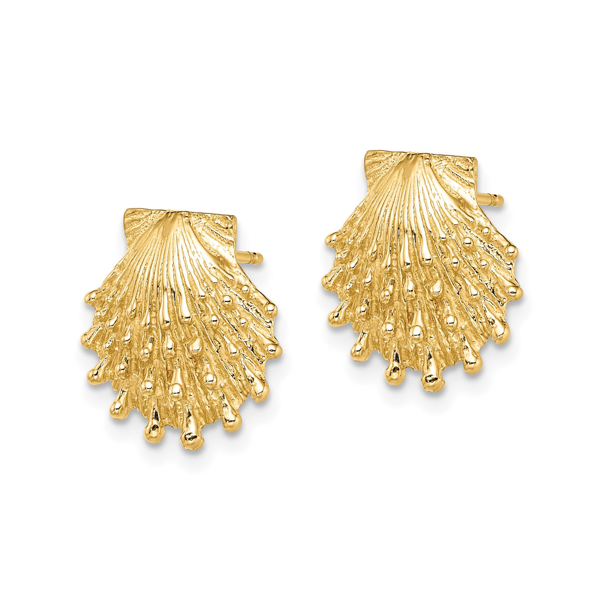 14k Yellow Gold Scallop Shell Stud Earrings, Textured Coastal Design, Marine Motif, Christian Symbol
