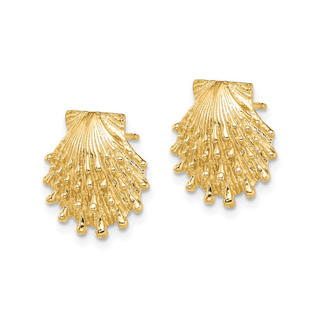 14k Yellow Gold Scallop Shell Stud Earrings, Textured Coastal Design, Marine Motif, Christian Symbol
