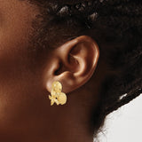 14k Yellow Gold Stud Earrings with Sand Dollar, Starfish, and Seashell Design