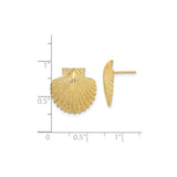 14k Yellow Gold Seashell Stud Earrings, Textured Scallop Shell Nautical Design for Women