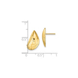 14k Yellow Gold Mussel Shell Stud Earrings, Ocean-Inspired Coastal Nautical Design for Women