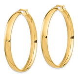 14k Yellow Gold Hoop Earrings, Classic Medium Round High Polish Design for Women