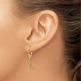 14k Yellow Gold Dangle Earrings with Dog Bone Charm, Leverback Drop Pet Jewelry for Women