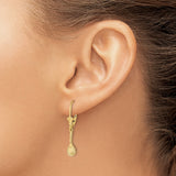 14k Yellow Gold Dangle Earrings, Tennis Racket with Ball Charms, Leverback Drop Style